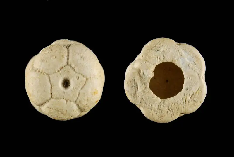 n.sp.; 2.2 cm; Kasimov; Subway Mines, Moskau