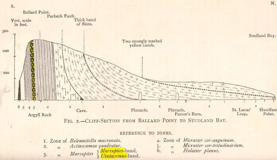 Section_Chalk cliffs_Ballard Point_Rowe (1902)_marked