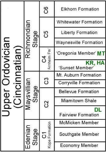 Cincinnatian Stratigraphy