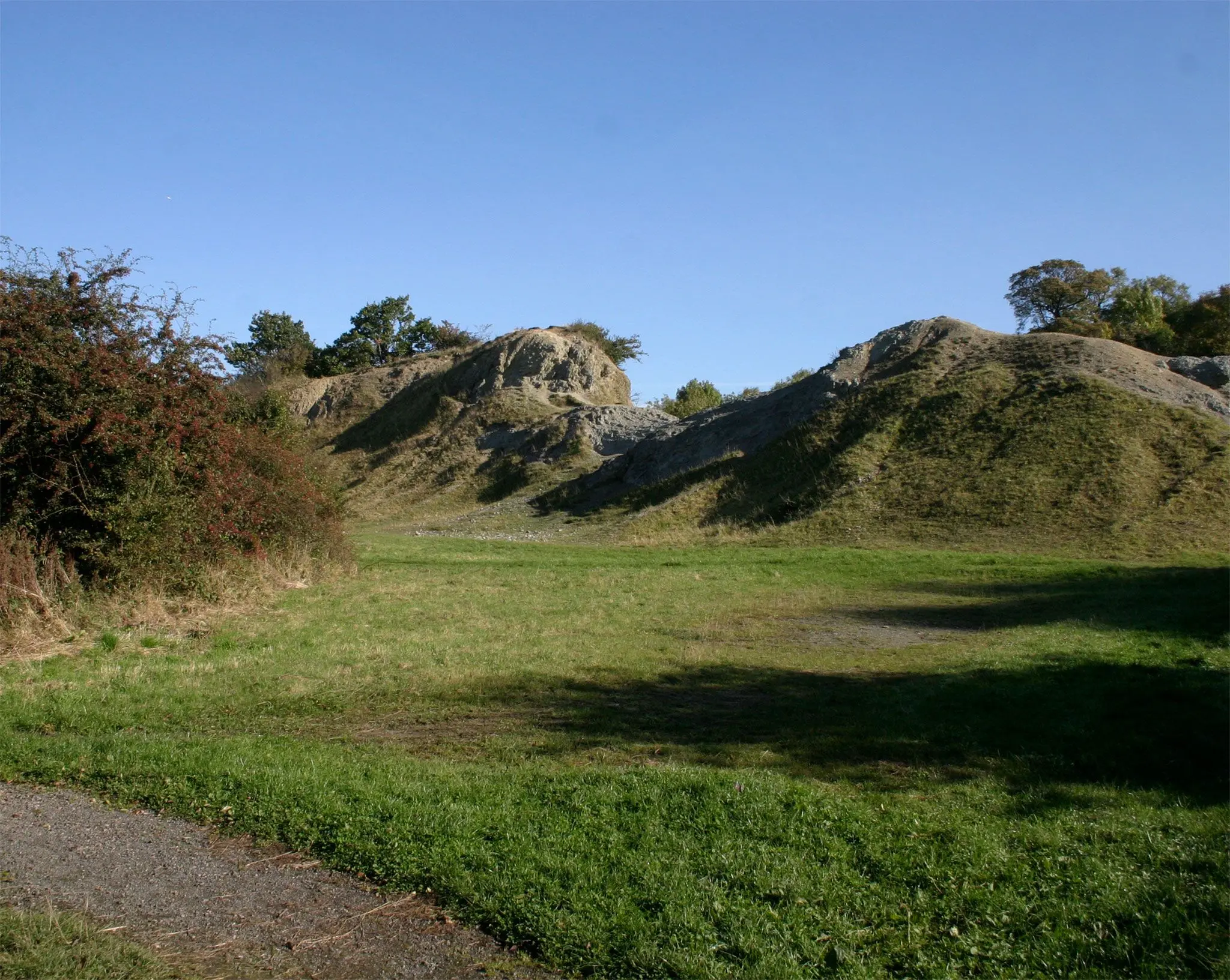 Dudley_nodular-beds-member