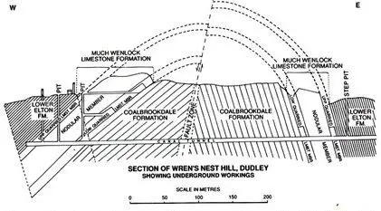 Wrenst Nest_Dudley Museum