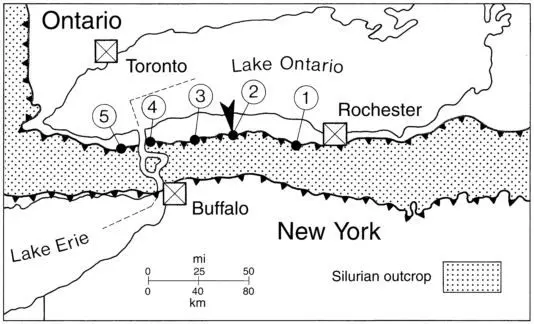 Taylor & Brett (1996)_Homocrinus bdes_Rochester Shale_Map